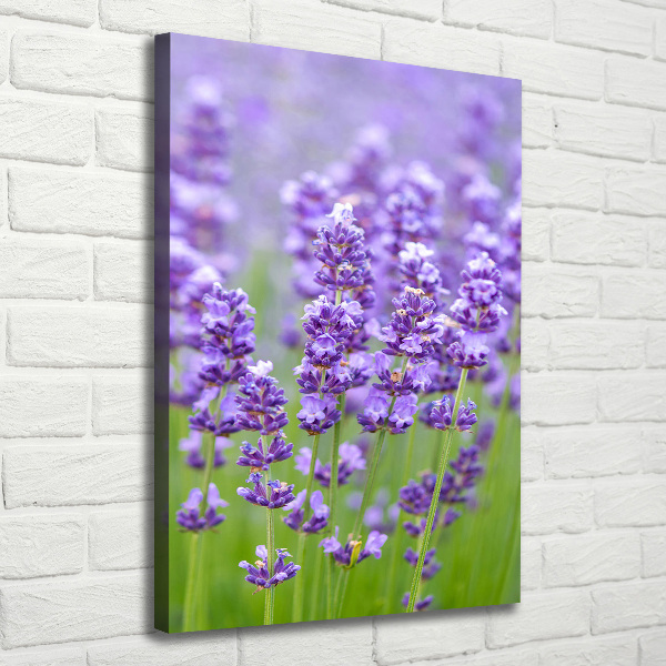 Cuadro canvas decorativo para salón vertical campo de lavanda