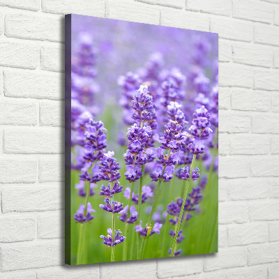 Cuadro canvas decorativo para salón vertical campo de lavanda