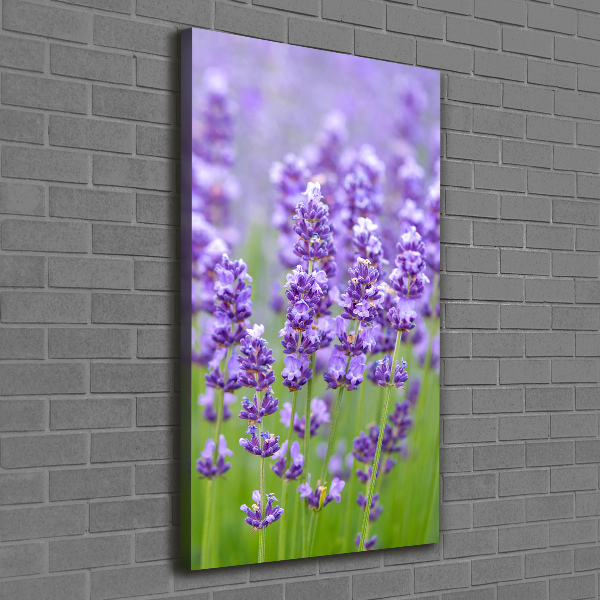 Cuadro canvas decorativo para salón vertical campo de lavanda
