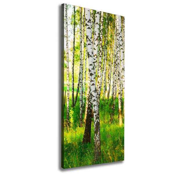 Cuadro moderno en lienzo resistente uv vertical bosque de abedules