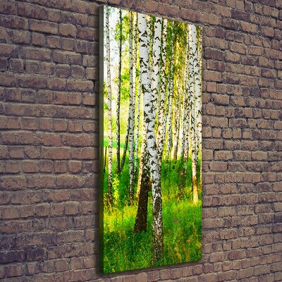 Cuadro moderno en lienzo resistente uv vertical bosque de abedules