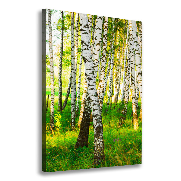 Cuadro moderno en lienzo resistente uv vertical bosque de abedules