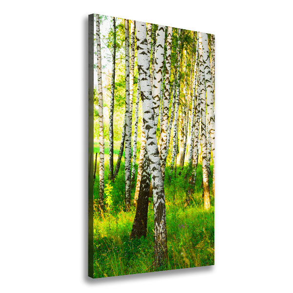 Cuadro moderno en lienzo resistente uv vertical bosque de abedules