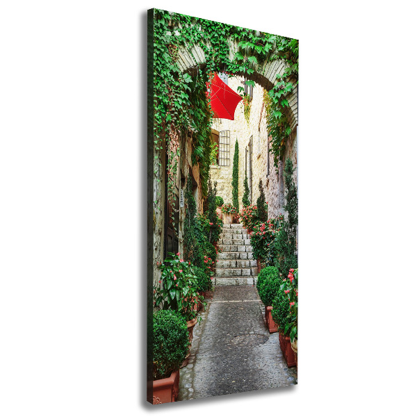 Cuadro canvas decorativo para salón vertical Calles de Francia