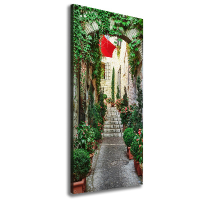 Cuadro canvas decorativo para salón vertical Calles de Francia