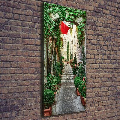 Cuadro canvas decorativo para salón vertical Calles de Francia