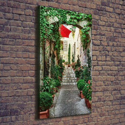 Cuadro canvas decorativo para salón vertical Calles de Francia