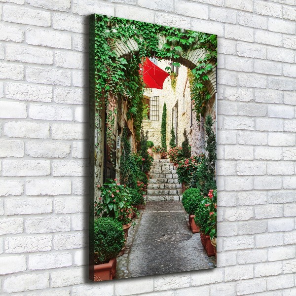 Cuadro canvas decorativo para salón vertical Calles de Francia