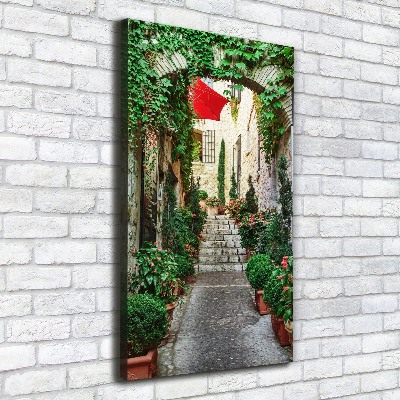 Cuadro canvas decorativo para salón vertical Calles de Francia