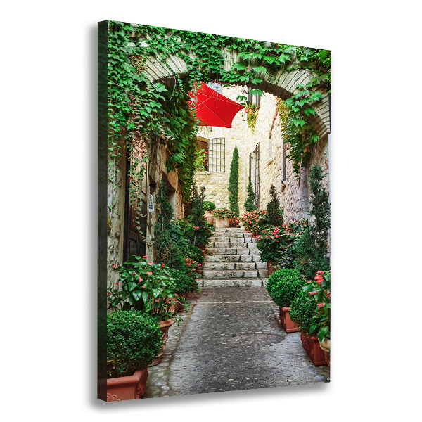 Cuadro canvas decorativo para salón vertical Calles de Francia