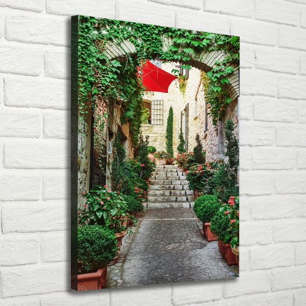 Cuadro canvas decorativo para salón vertical Calles de Francia