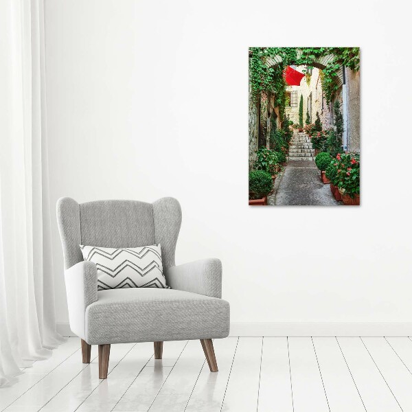 Cuadro canvas decorativo para salón vertical Calles de Francia