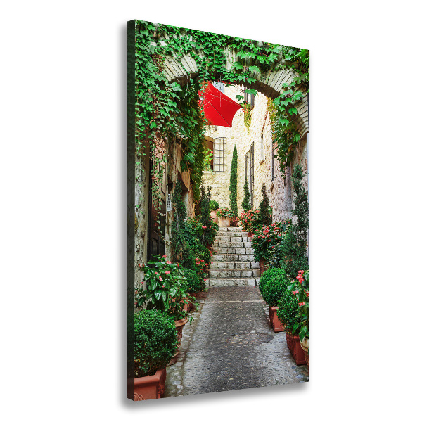 Cuadro canvas decorativo para salón vertical Calles de Francia