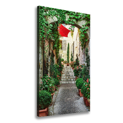 Cuadro canvas decorativo para salón vertical Calles de Francia
