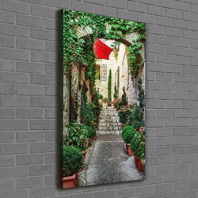 Cuadro canvas decorativo para salón vertical Calles de Francia