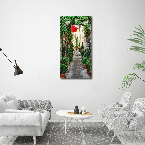 Cuadro canvas decorativo para salón vertical Calles de Francia