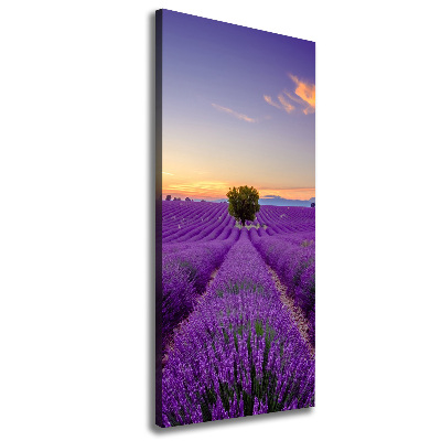 Impresión en lienzo vertical campo de lavanda