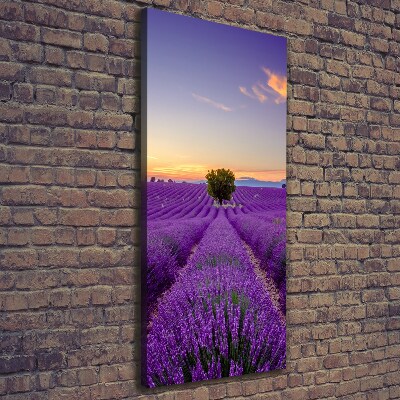 Impresión en lienzo vertical campo de lavanda