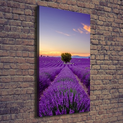 Impresión en lienzo vertical campo de lavanda