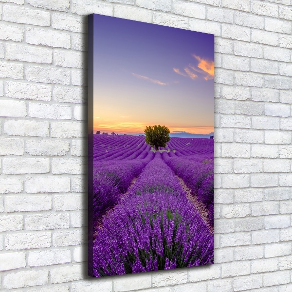 Impresión en lienzo vertical campo de lavanda