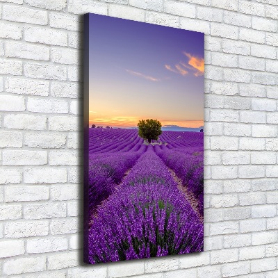 Impresión en lienzo vertical campo de lavanda