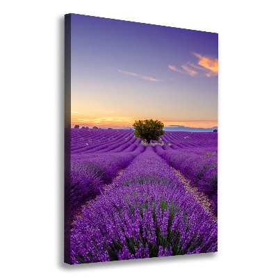 Impresión en lienzo vertical campo de lavanda