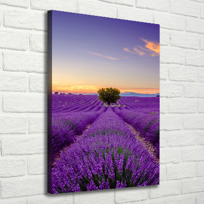 Impresión en lienzo vertical campo de lavanda