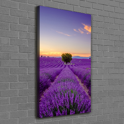 Impresión en lienzo vertical campo de lavanda