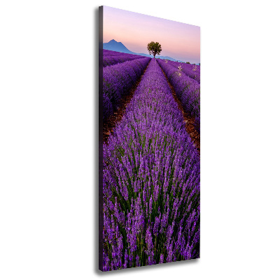 Fotografía en lienzo vertical campo de lavanda