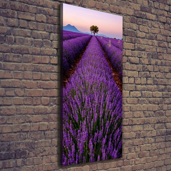 Fotografía en lienzo vertical campo de lavanda