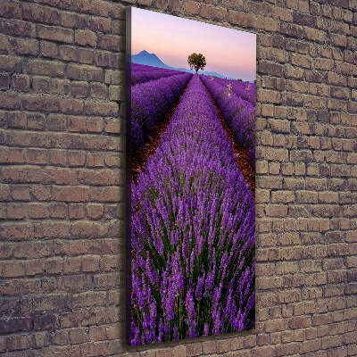Fotografía en lienzo vertical campo de lavanda