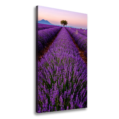 Fotografía en lienzo vertical campo de lavanda