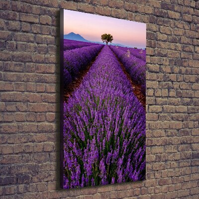 Fotografía en lienzo vertical campo de lavanda