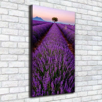 Fotografía en lienzo vertical campo de lavanda
