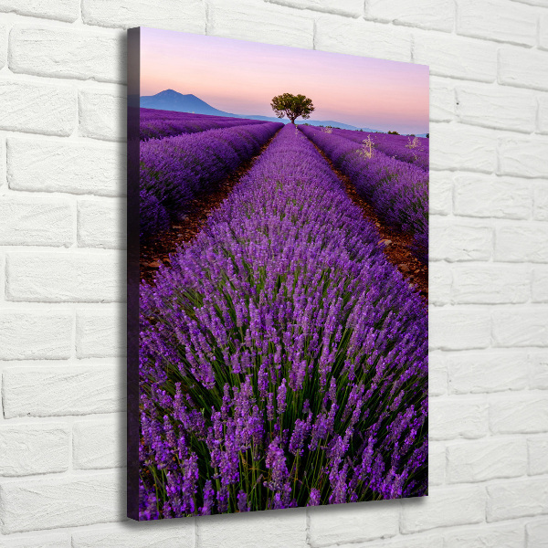 Fotografía en lienzo vertical campo de lavanda