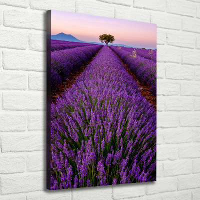 Fotografía en lienzo vertical campo de lavanda