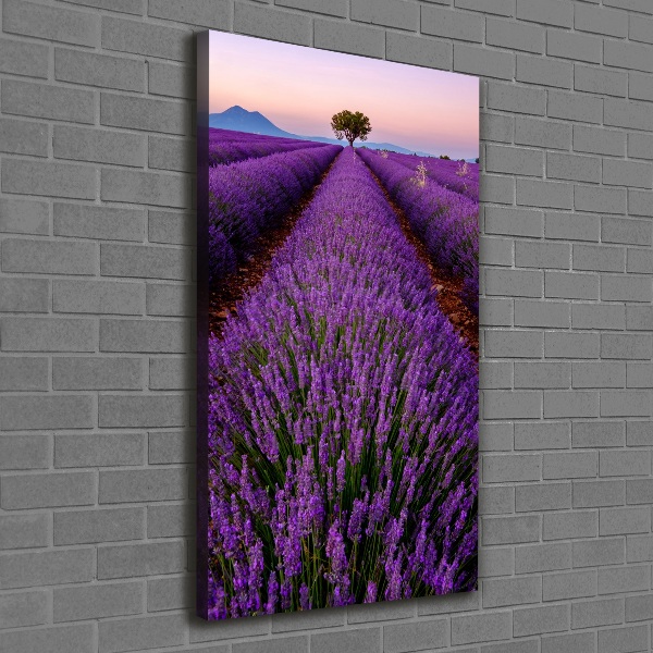 Fotografía en lienzo vertical campo de lavanda