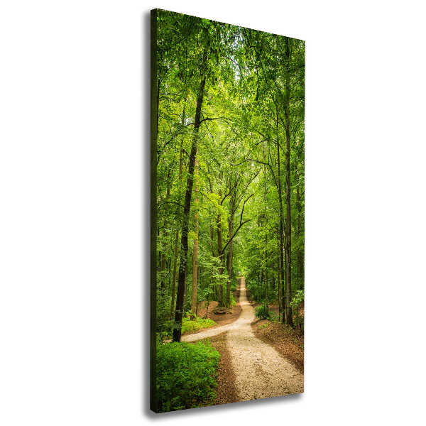 Cuadro moderno en lienzo resistente uv vertical Camino en el bosque