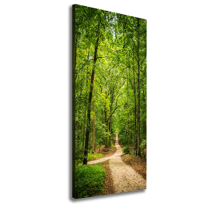 Cuadro moderno en lienzo resistente uv vertical Camino en el bosque