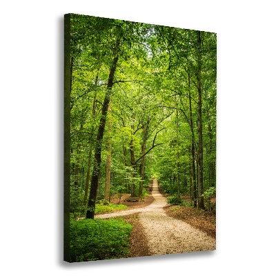 Cuadro moderno en lienzo resistente uv vertical Camino en el bosque
