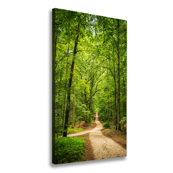 Cuadro moderno en lienzo resistente uv vertical Camino en el bosque