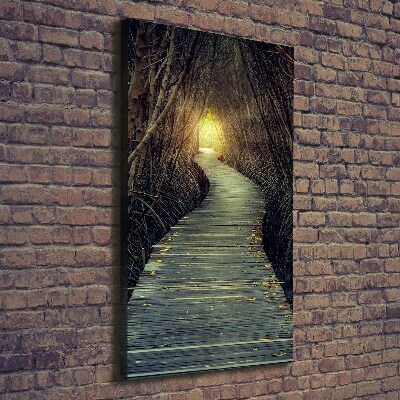 Foto obraz na płótnie pionowy Ścieżka w lesie