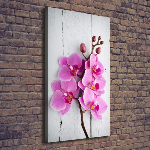 Cuadro moderno en lienzo resistente uv vertical Orquídea rosa
