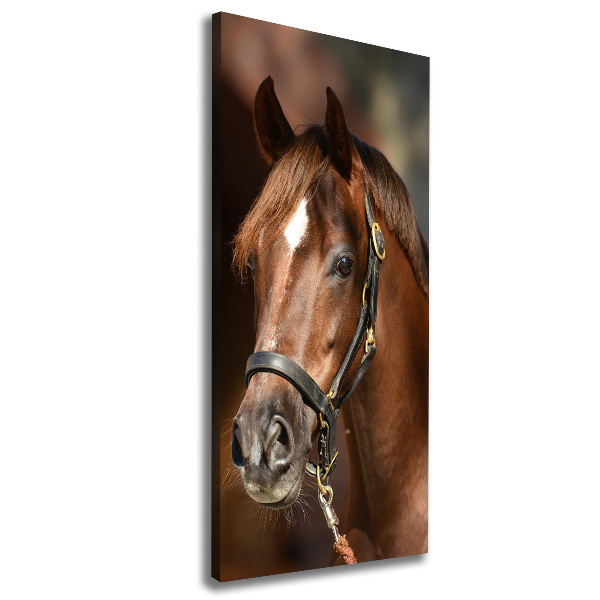 Cuadro canvas decorativo para salón vertical Retrato de un caballo