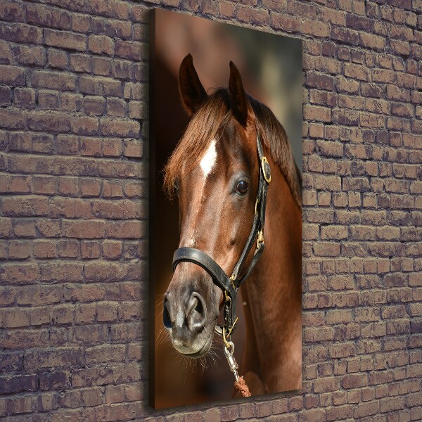 Cuadro canvas decorativo para salón vertical Retrato de un caballo