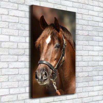 Cuadro canvas decorativo para salón vertical Retrato de un caballo