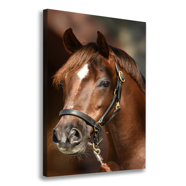 Cuadro canvas decorativo para salón vertical Retrato de un caballo