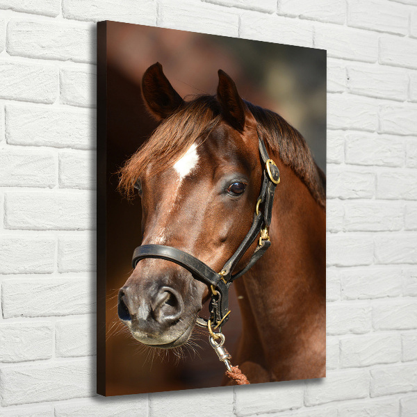 Cuadro canvas decorativo para salón vertical Retrato de un caballo