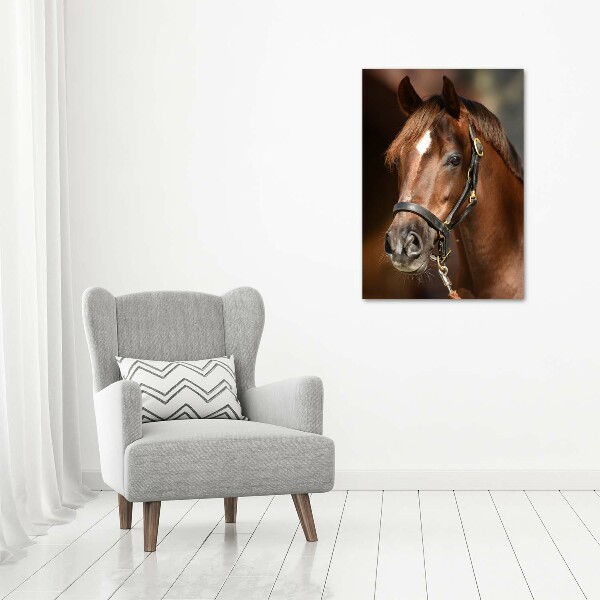 Cuadro canvas decorativo para salón vertical Retrato de un caballo