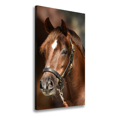 Cuadro canvas decorativo para salón vertical Retrato de un caballo